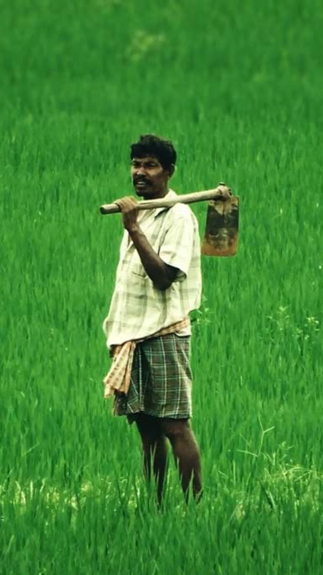 PM Kisan की 20वीं किस्त कब आएगी? जानें