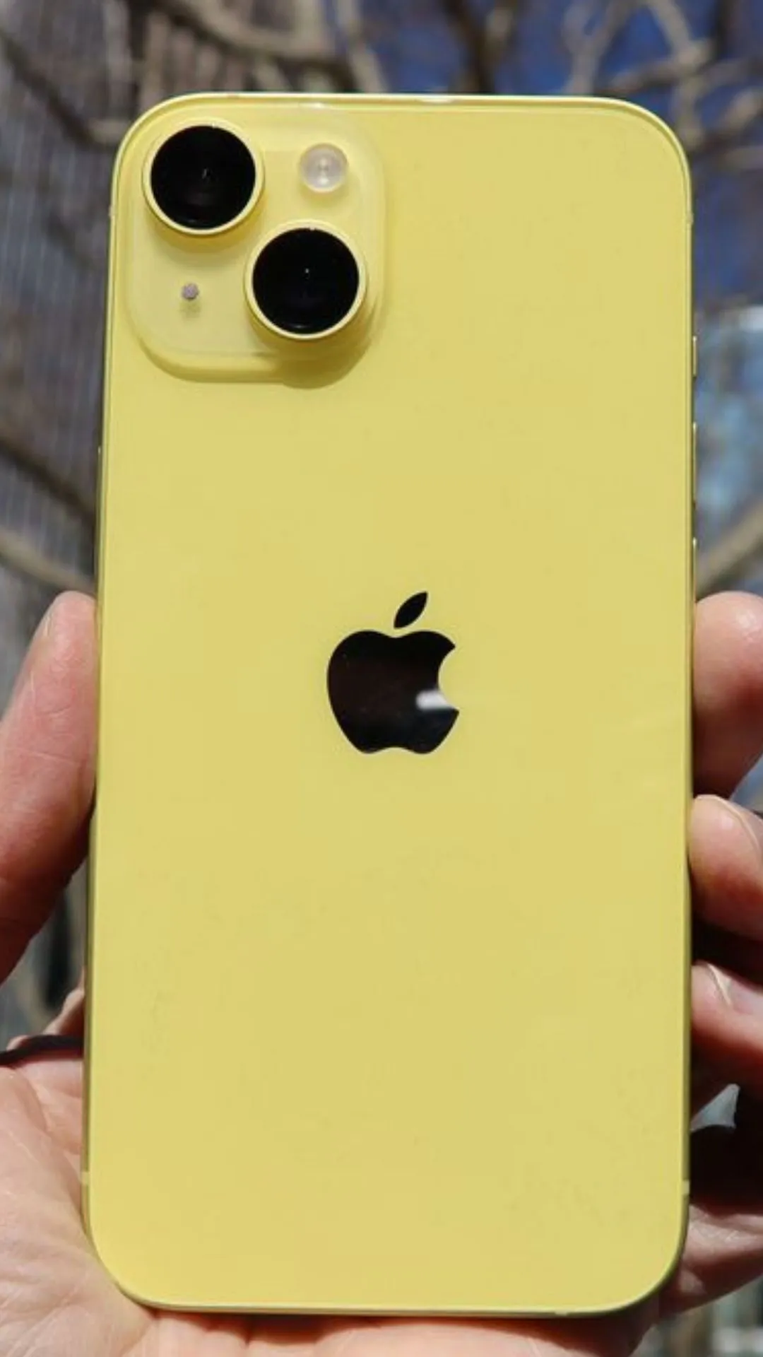 iPhone 15 Plus 256GB पर मची है लूट, हजारों रुपये का बड़ा Price Cut
