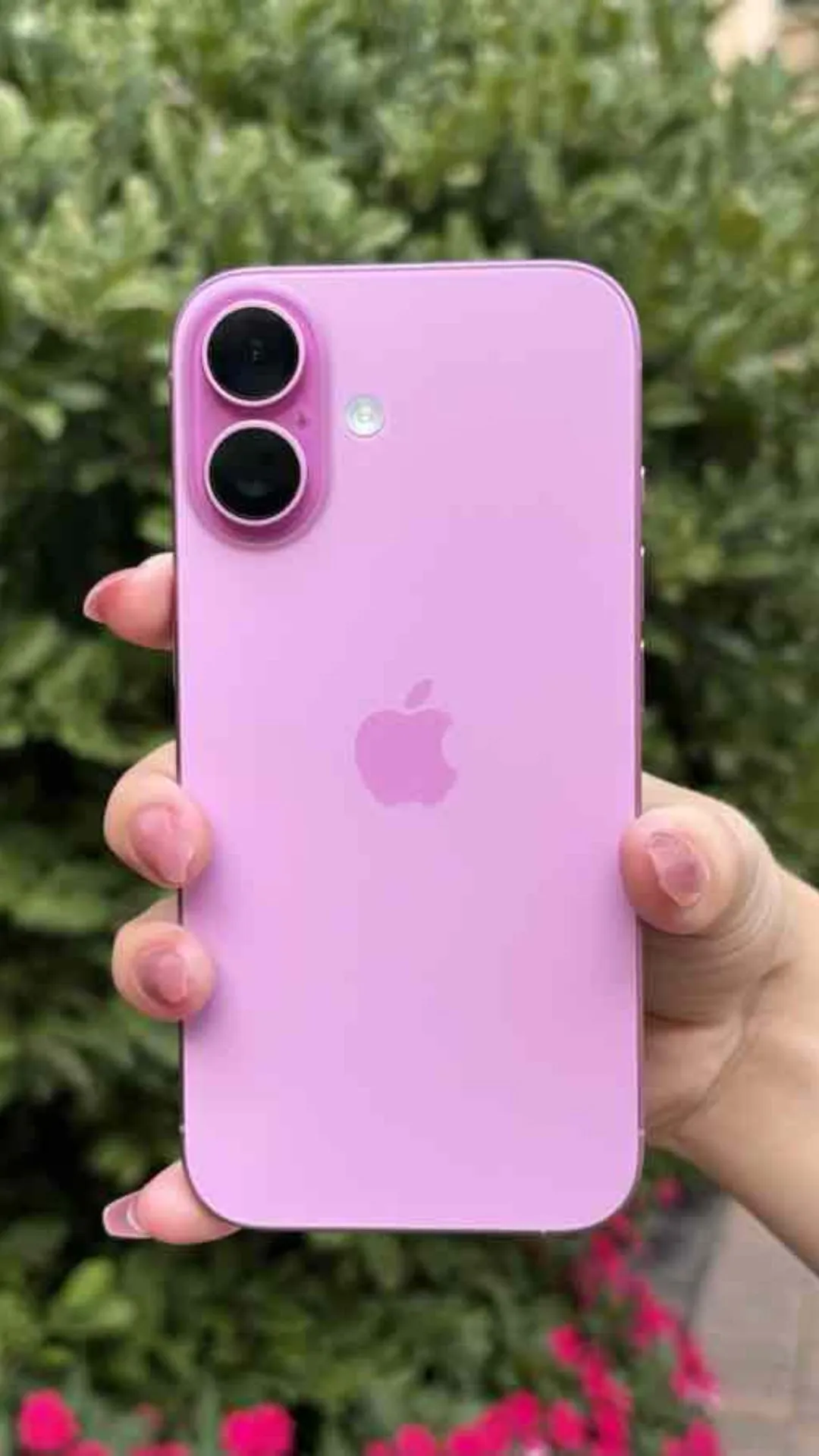 औने-पौने दाम में मिल रहा iPhone 16, फ्लिपकार्ट पर मची है लूट