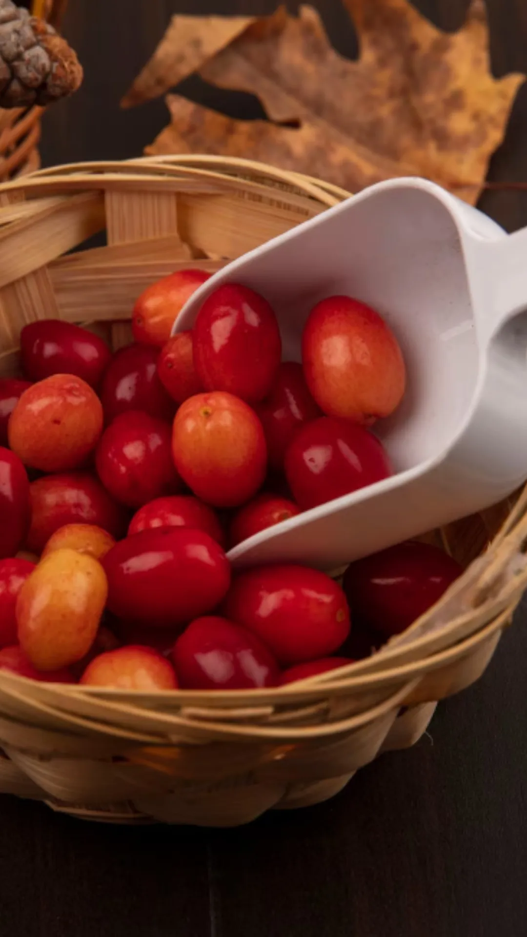 करौंदे में कौन सा विटामिन होता है?