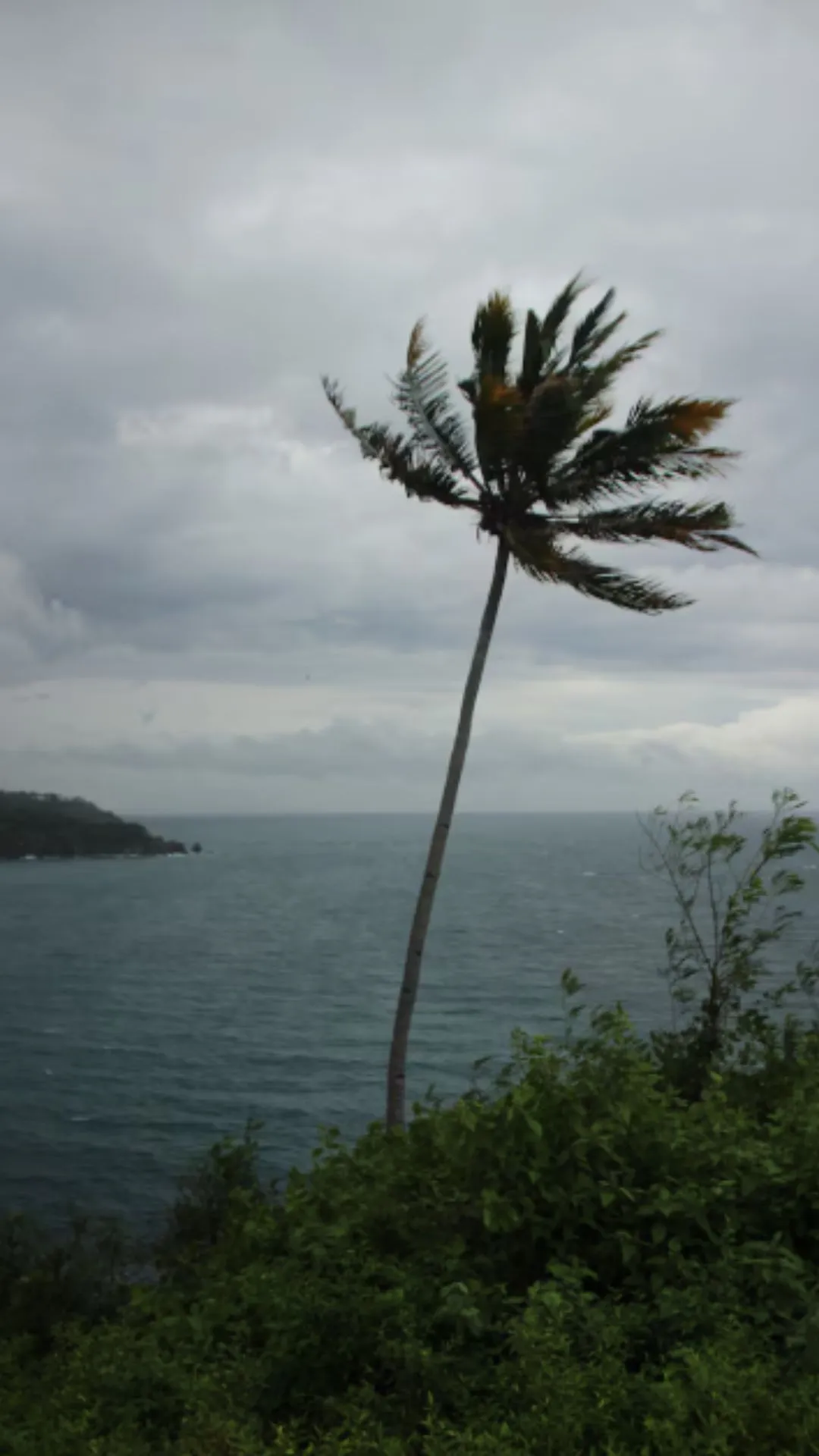 मोंथा नाम का असली मतलब सुन चौंक जाएंगे, जानिए क्यों हो रहा वायरल 