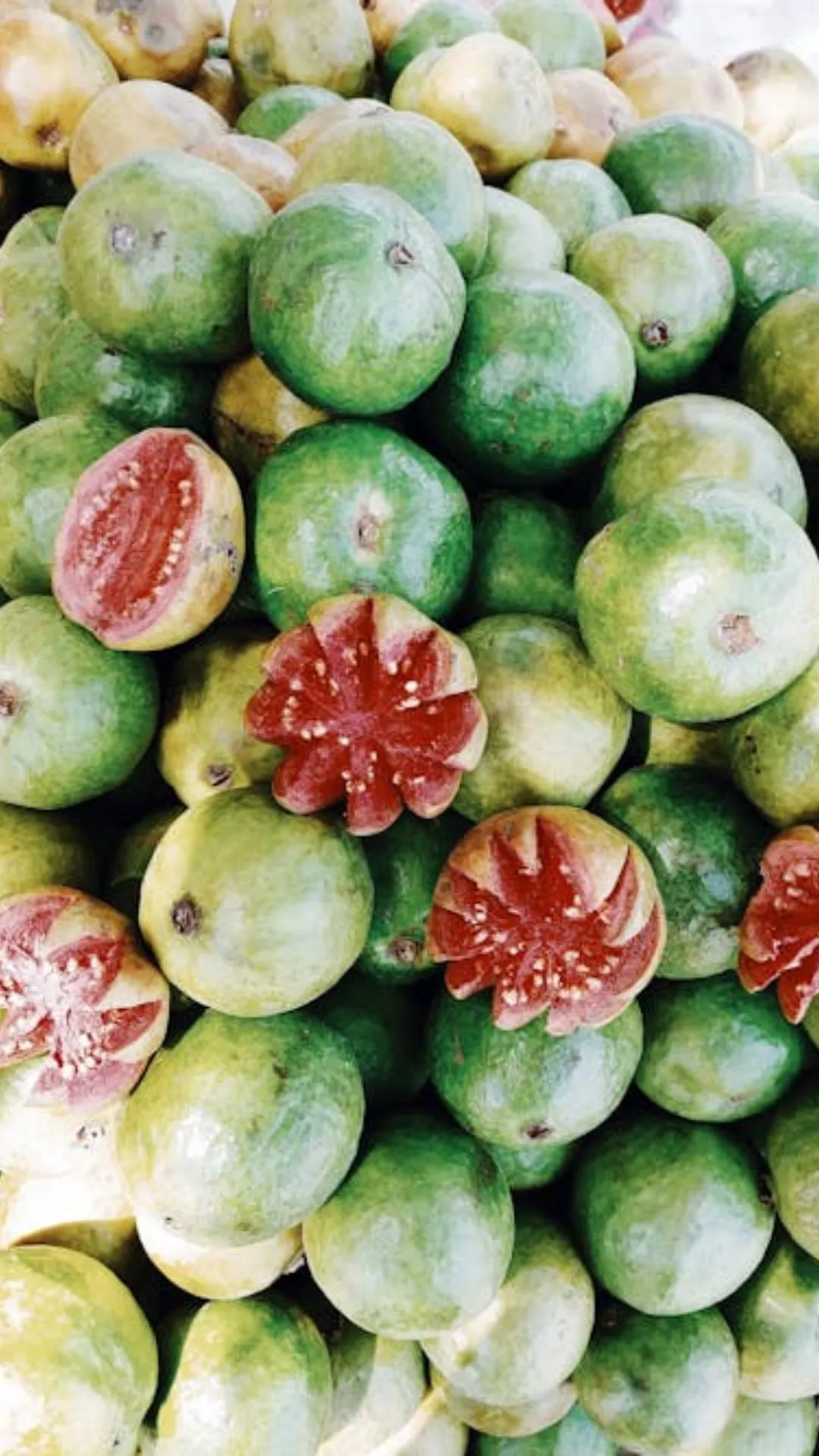 अमरूद को संस्कृत में क्या कहा जाता है, 99% लोगों को नहीं पता जवाब 