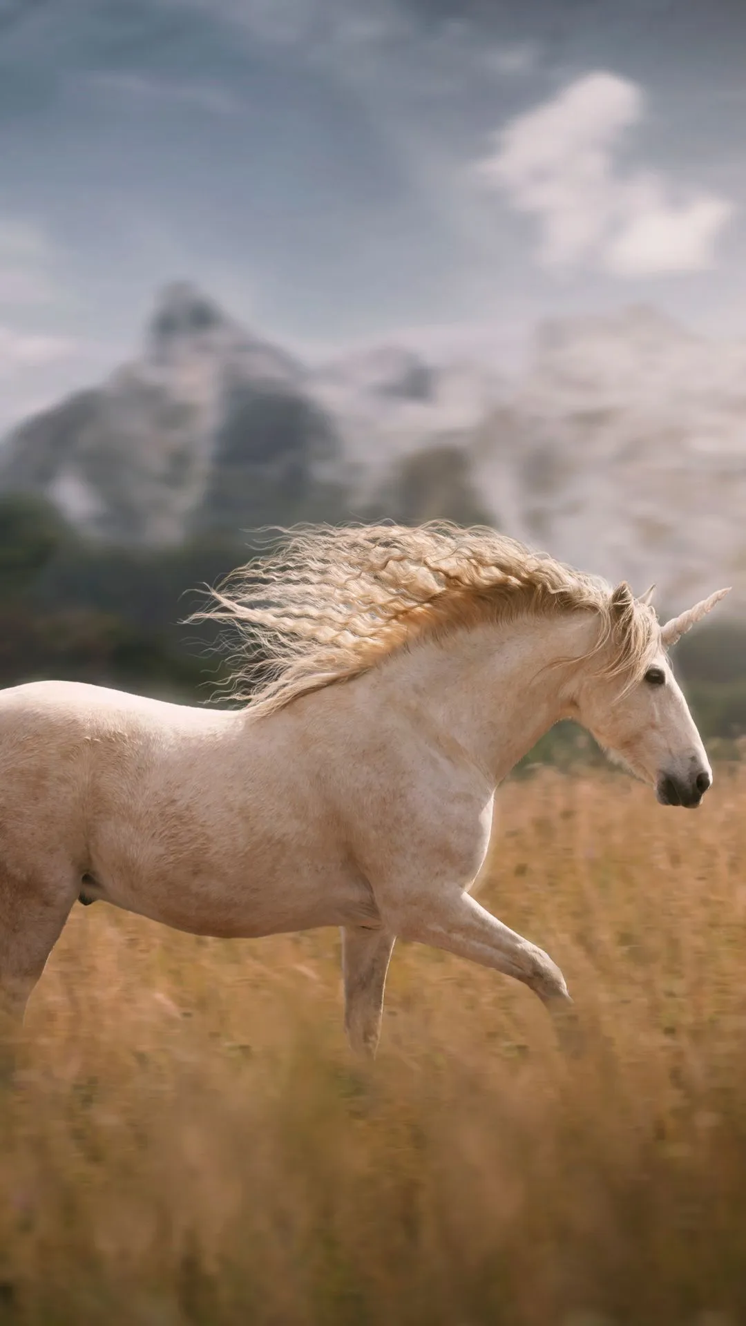 घोड़े की कौन सी नस्ल सबसे अच्छी होती है, भारत में सबसे अधिक कहां मिलते हैं 