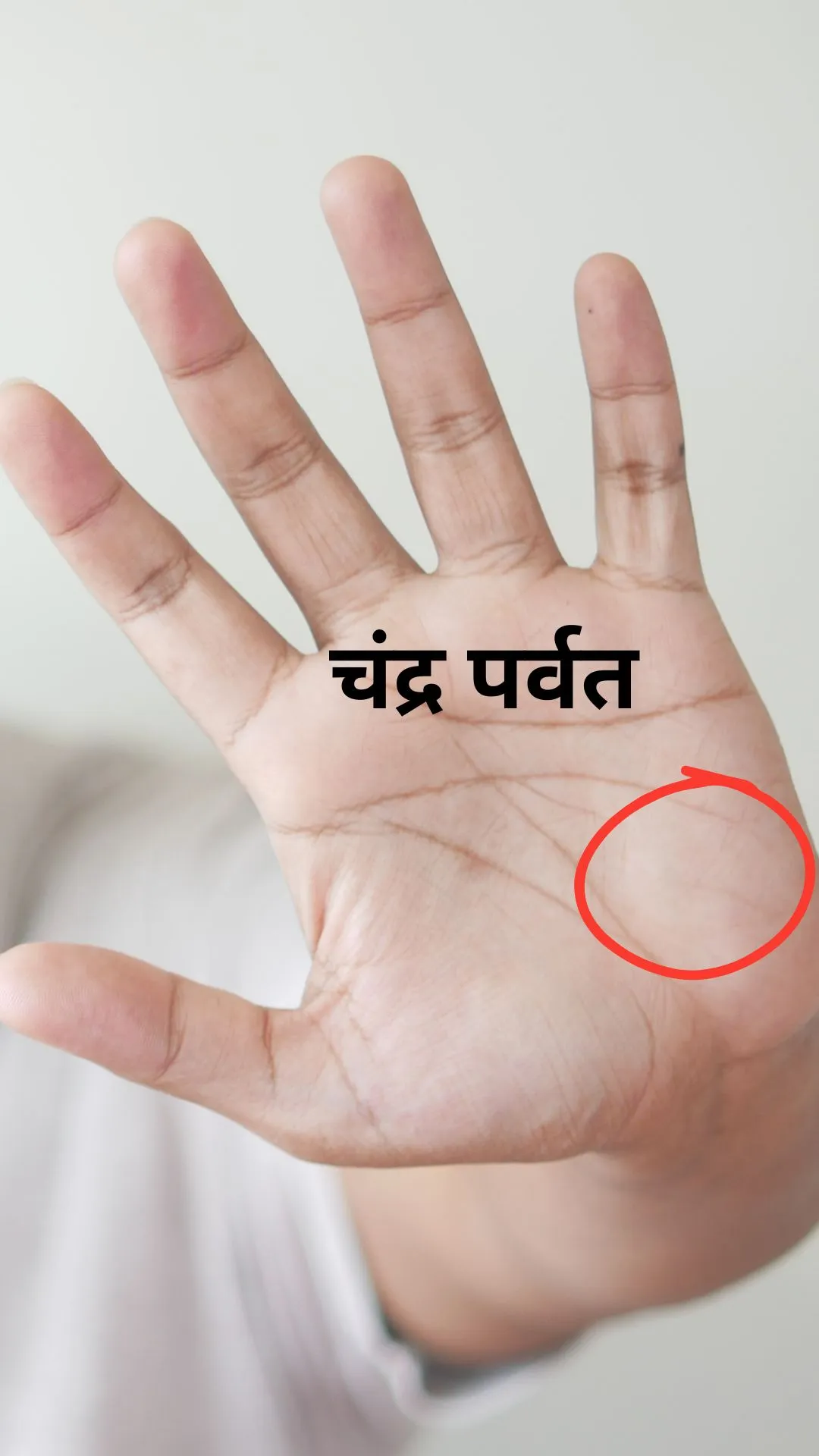 Personality Test: ऐसा चंद्र पर्वत दिलाता है अपार सफलता, चेक करें अपना हाथ