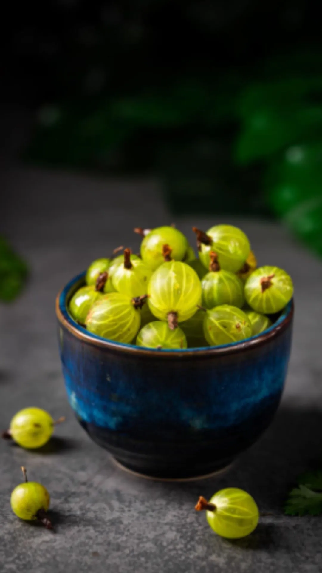 आंवला में कौन कौन सा विटामिन पाया जाता है