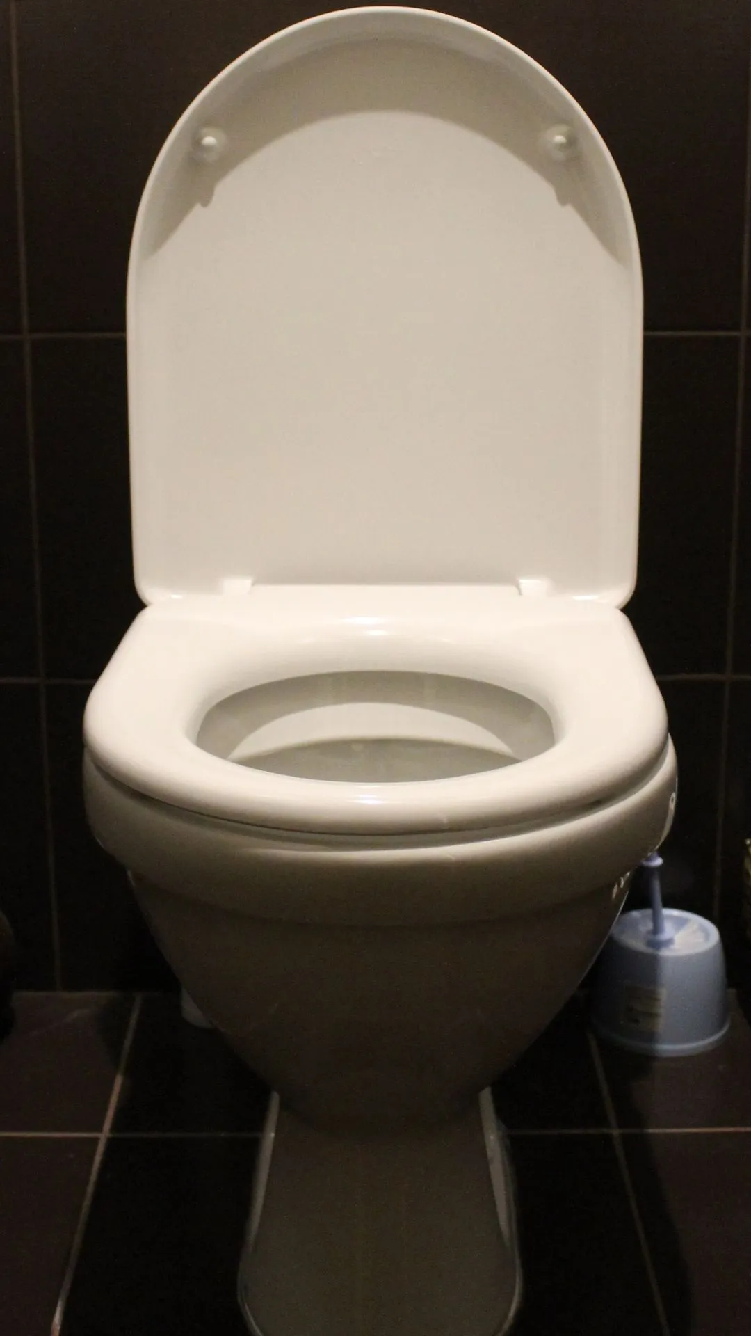 Vastu Tips: टॉयलेट सीट की सही दिशा क्या है?