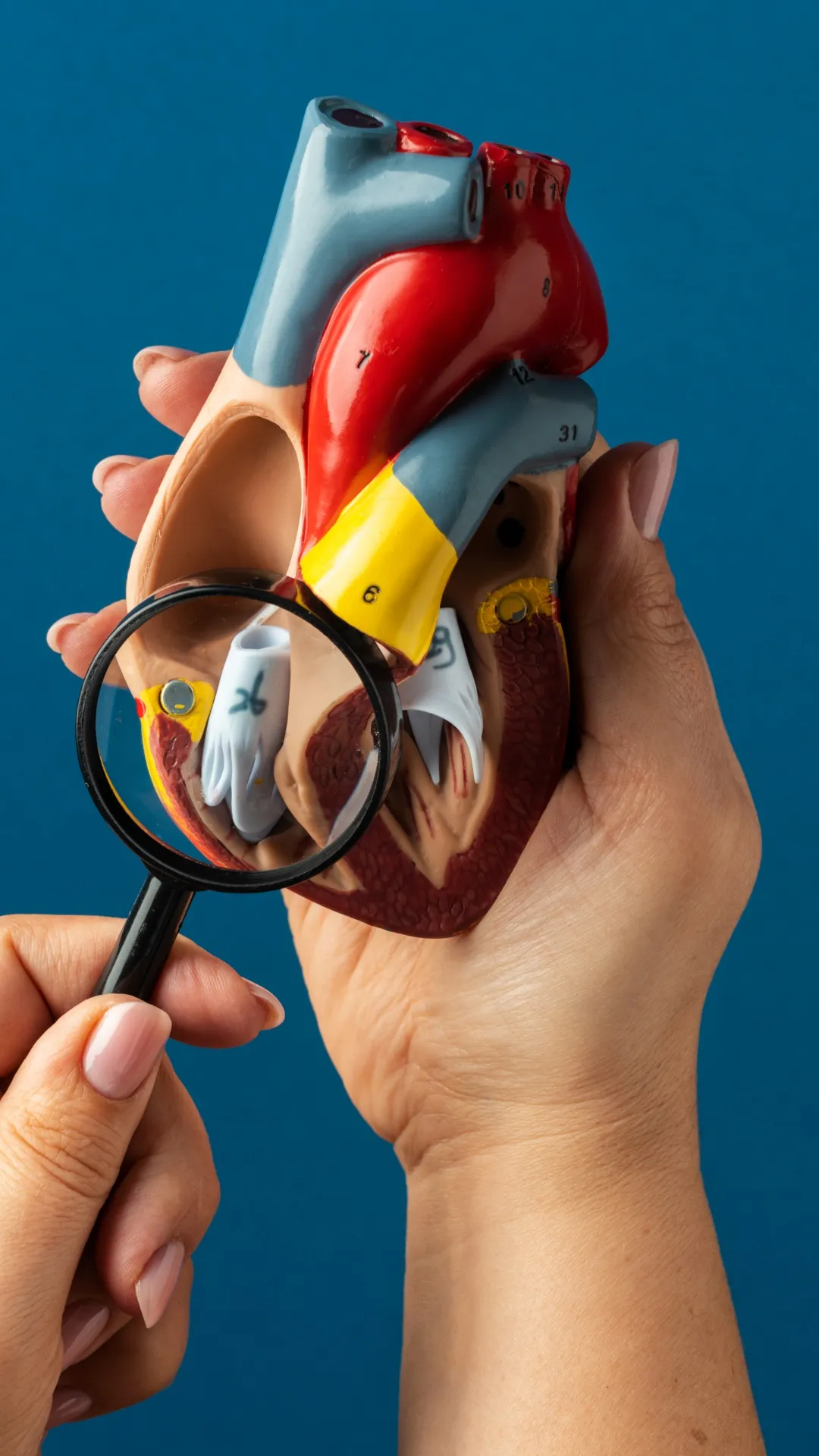 हाई कोलेस्ट्रॉल के 5 लक्षण क्या हैं?