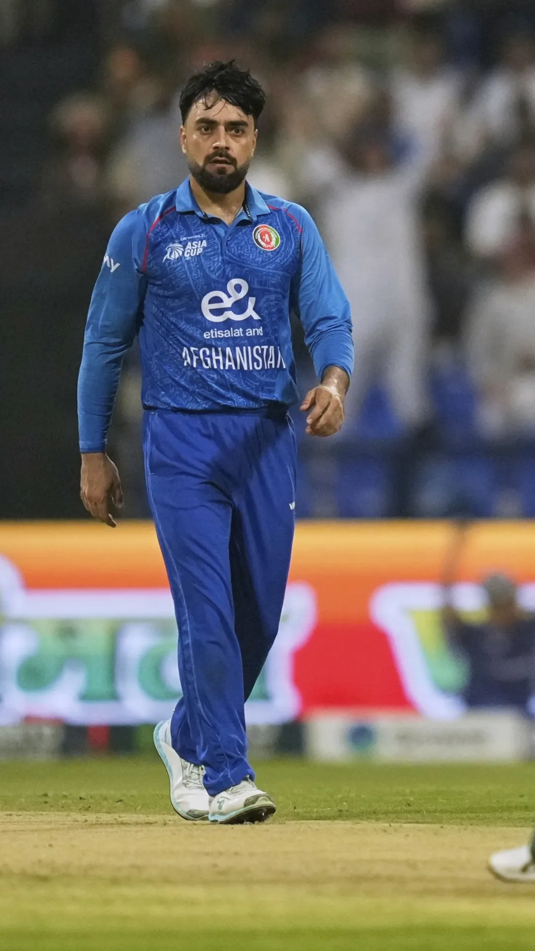 T20 क्रिकेट में सबसे ज्यादा मैच खेलने वाले प्लेयर्स की लिस्ट, राशिद खान ने खेले 497 मुकाबले