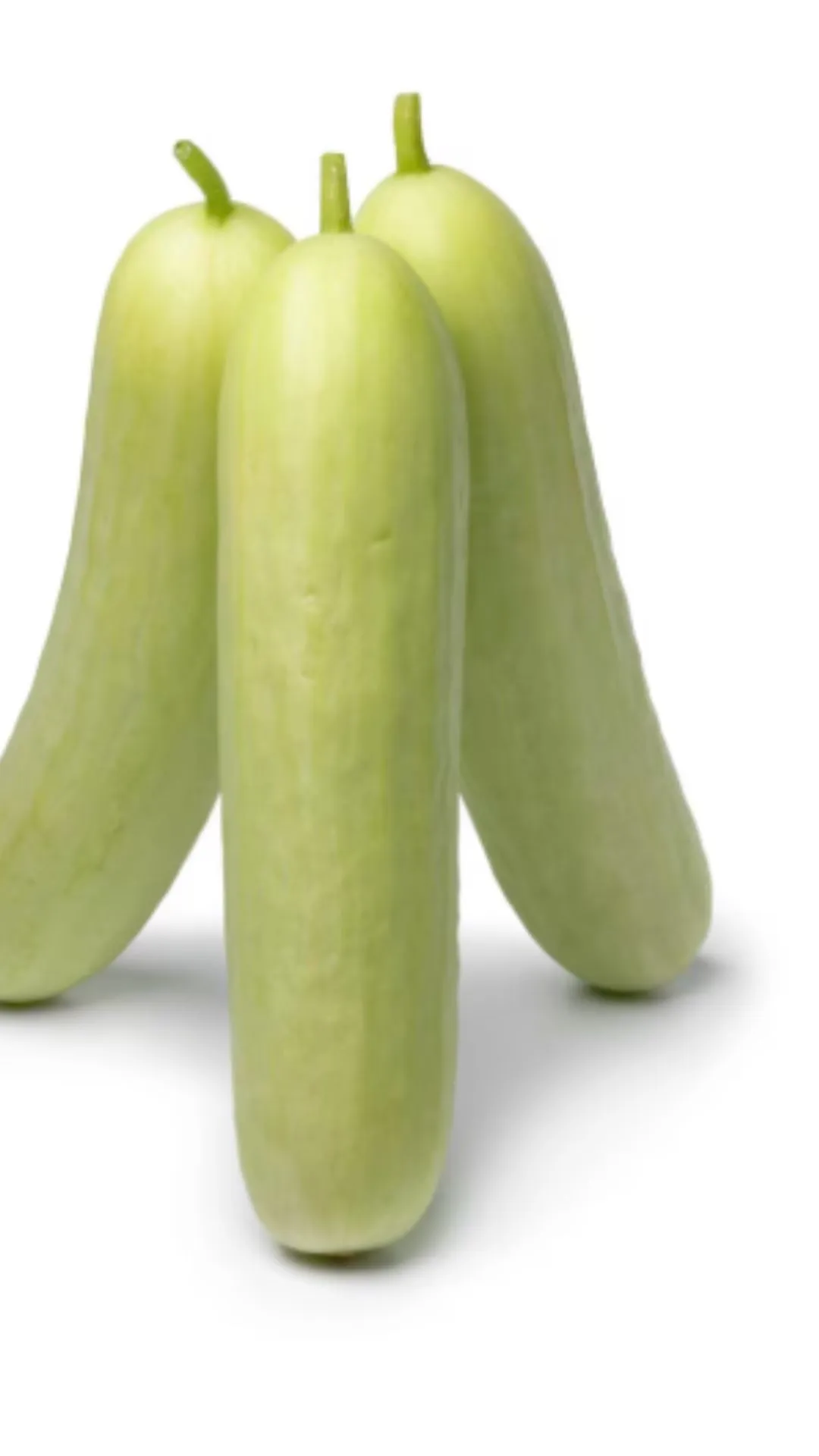 ताजा लौकी की कैसे करें पहचान? ये है सिंपल तरीका