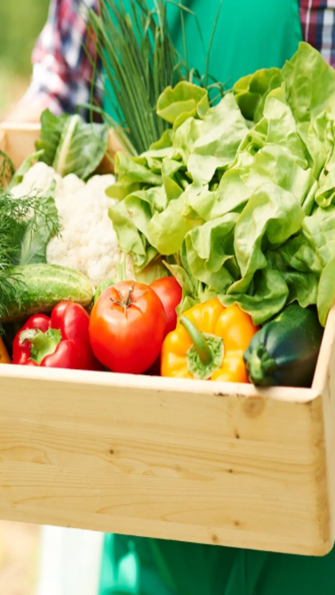 भारत की आधे से ज्यादा आबीद ग्रामीण अंचलों में बसती है। यहां के लोगों का मुख्य आय श्रोत खेती है।