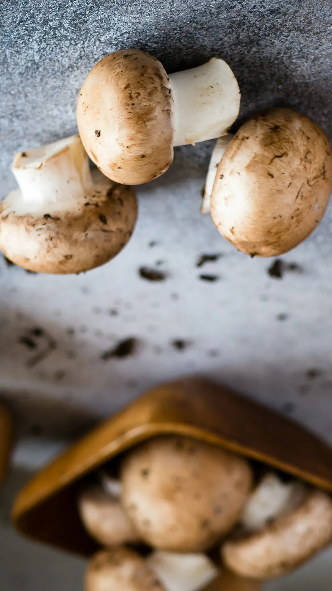 मशरूम कब नहीं खाना चाहिए?