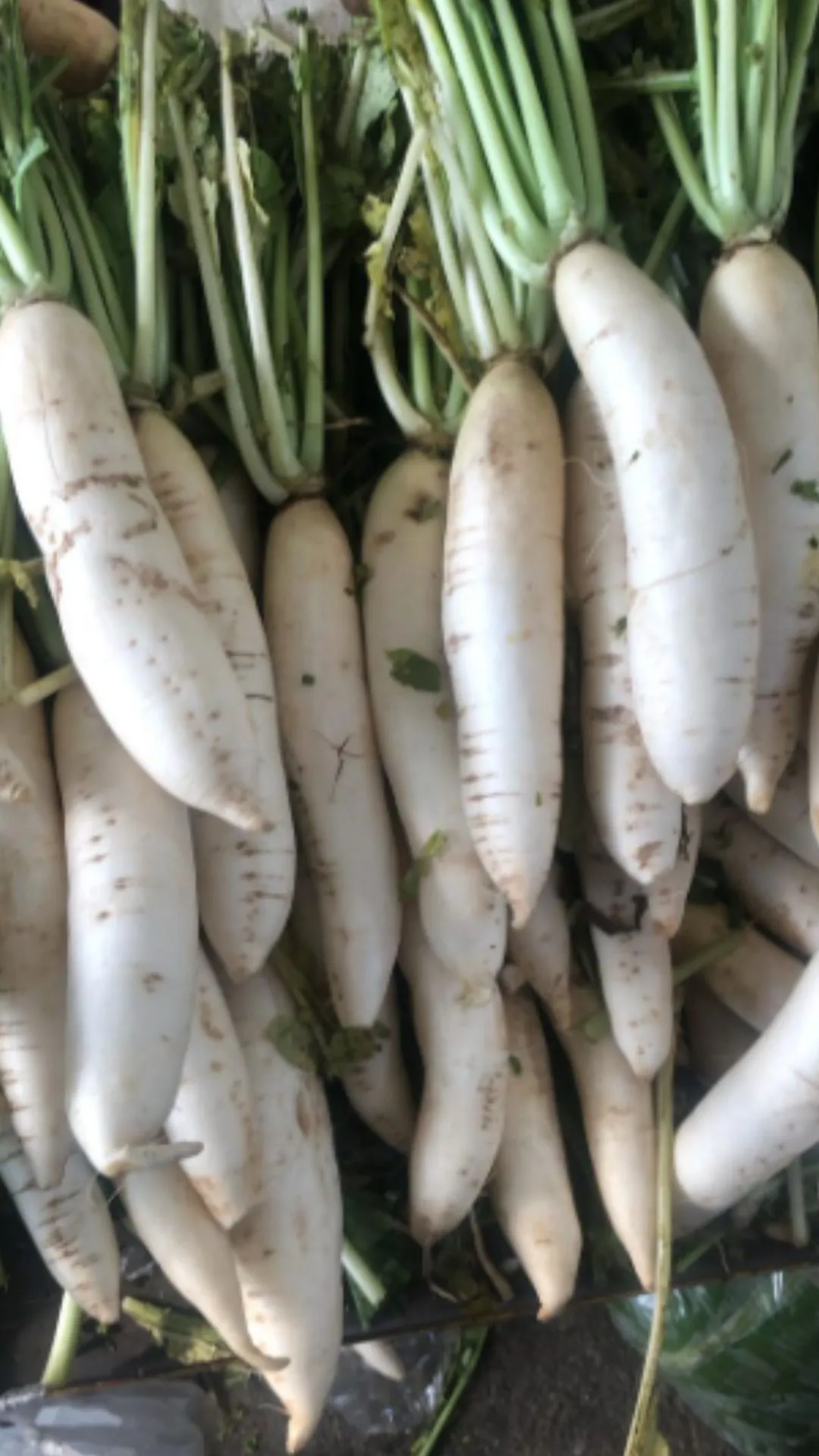 तेलुगू में मूली को क्या कहते हैं, नाम सुनकर नहीं रुकेगी हंसी 