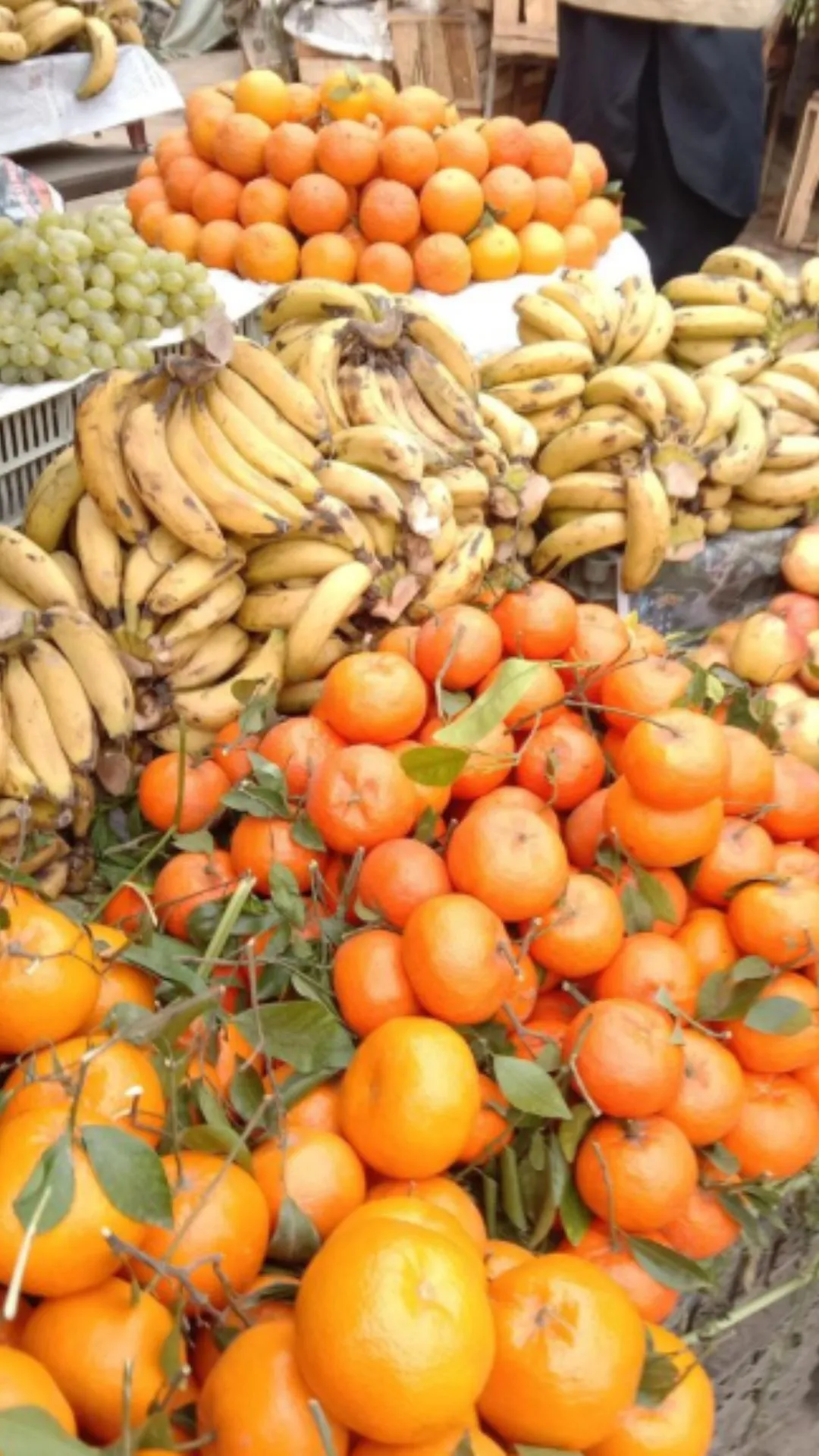 वो कौन सा फल है जिसकी 3 आंखें होती हैं, सुनते ही दिमाग घूम जाएगा 