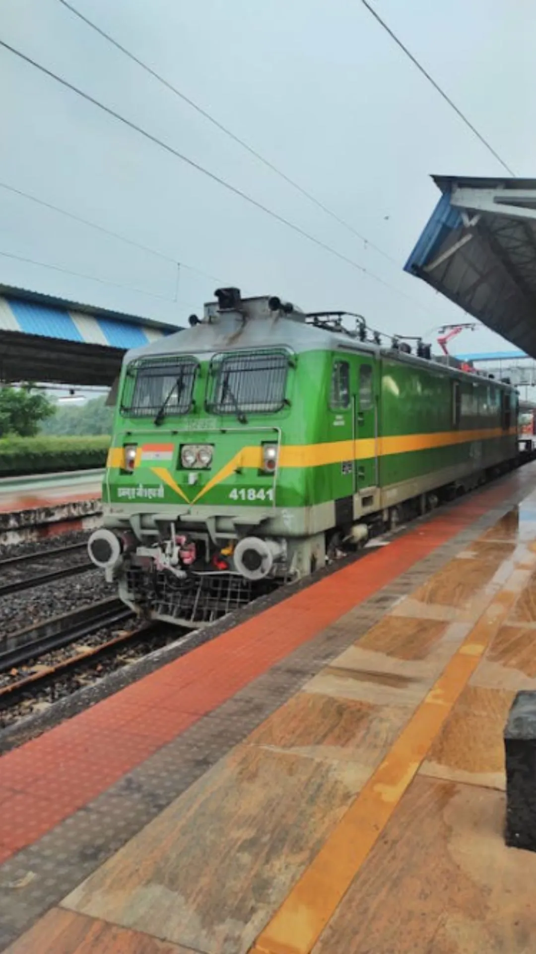 ट्रेन में कौन सा जानवर ले जाना मना है, सफर से पहले जान लें नहीं पछताएंगे 