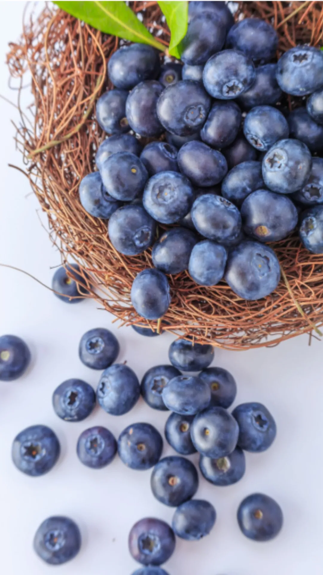 कैंसर में सुपरफूड माना जाता है ये नीला फल