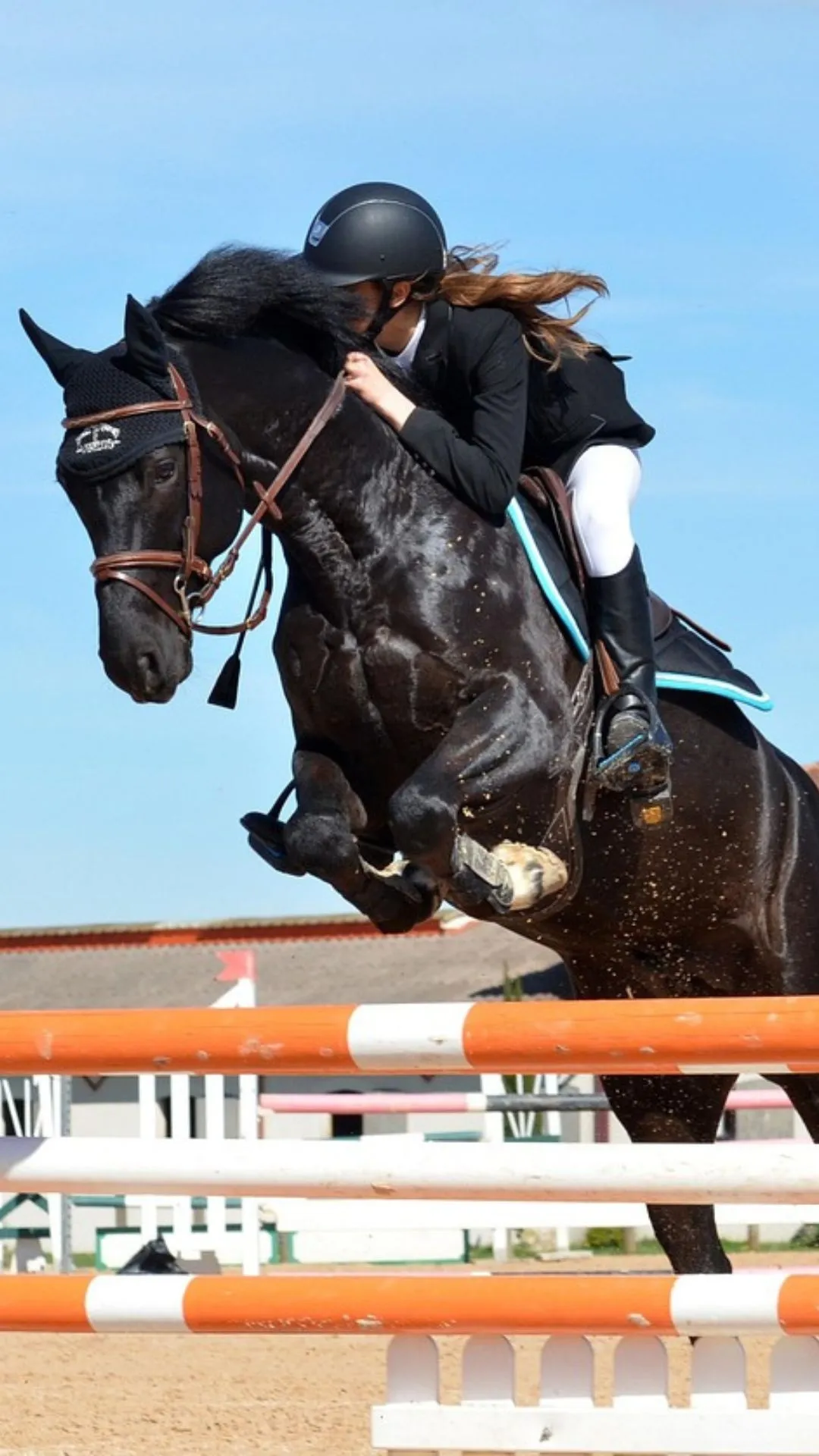 घोड़े को पहनाए जाने वाले नाल आखिर बनते किससे हैं?