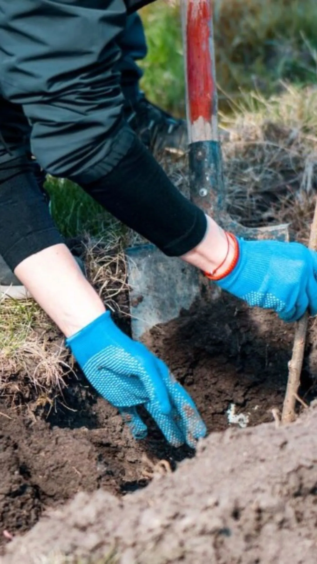 Vastu Tips: भूमि आपके लिए शुभ रहेगी या होगा नुकसान, वास्तु के इस प्रयोग से चलता है पता