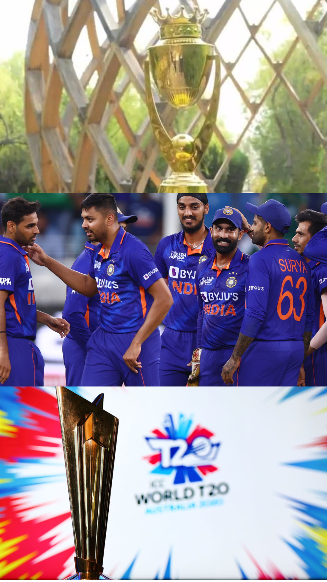 T20 World Cup 2022: एशिया कप से कितनी अलग है टी20 विश्व कप की यह टीम