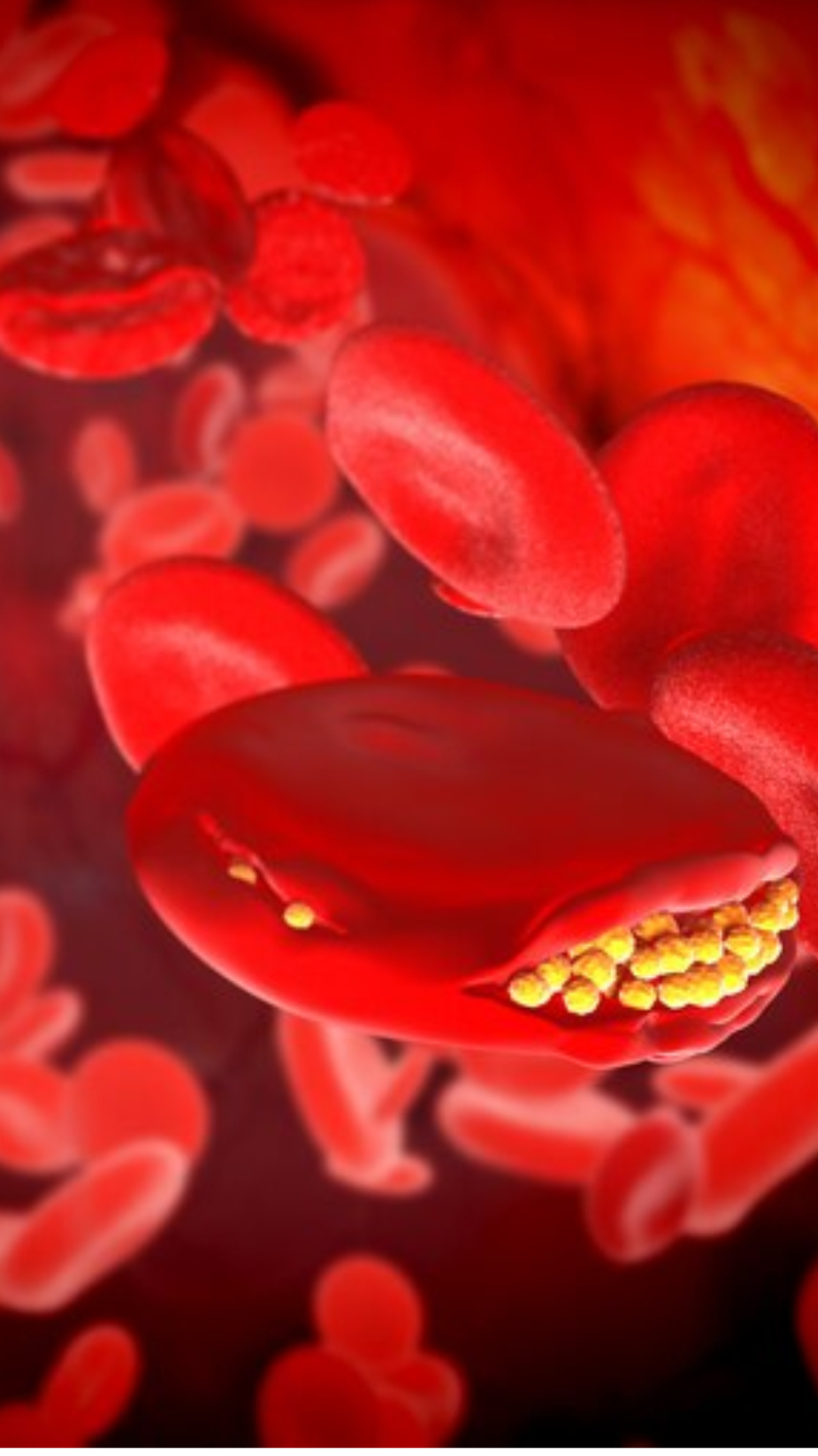 Cholesterol: नहीं खानी पड़ेंगी गोलियां, बस खाएं ये चीजें