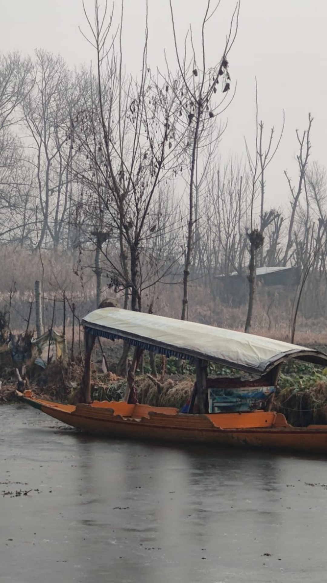 डल झील से लेकर गुलमर्ग तक, बर्फ की सफेद चादर तले जी रहा है कश्मीर