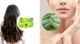 home remedies for glowing skin and ayurvedic tips for healthy hair home remedies for glowing skin and ayurvedic tips for healthy hair- India TV Hindi