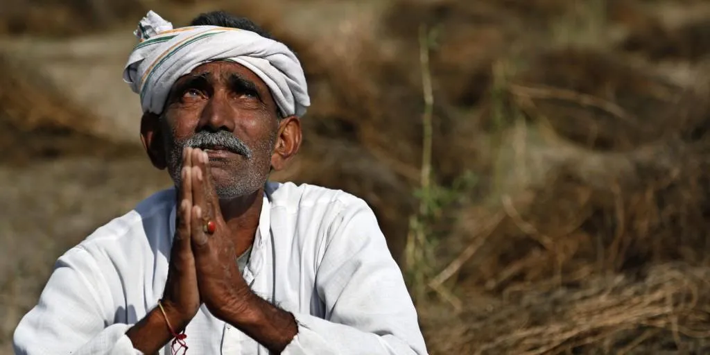 Whitefly Attack: किसानों की फसल बर्बाद, पंजाब सरकार को भी झटका Whitefly Attack: किसानों की फसल बर्बाद, पंजाब सरकार को भी झटका- India TV Hindi