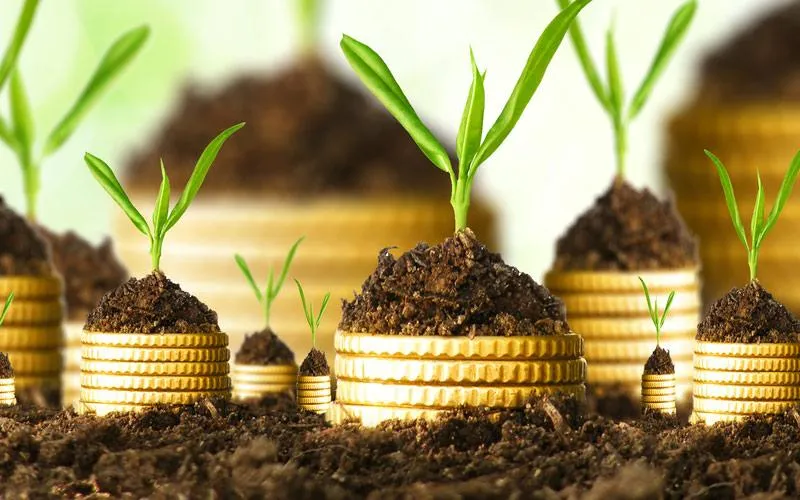 7 Things to know- NPS में करने जा रहे हैं निवेश, तो यह सब जान लेना है आपके लिए जरूरी 7 Things to know- NPS में करने जा रहे हैं निवेश, तो यह सब जान लेना है आपके लिए जरूरी- India TV Hindi