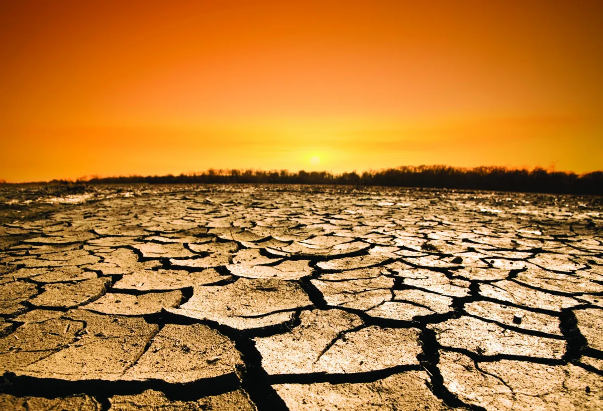 जलवायु परिवर्तन की भेंट चढ़ जाएंगे ये पेय और आहार globalwarming- India TV Hindi