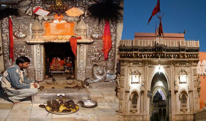 Karni Mata Temple (Bikaner)