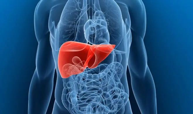 अपनाएं ये घरेलू उपाय और लिवर को रखें फिट lever- India TV Hindi