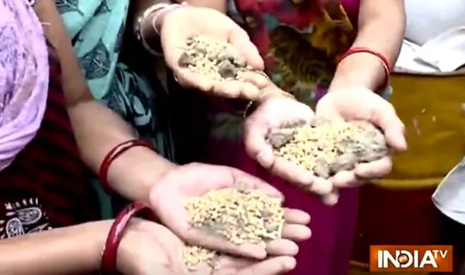 मप्र: बाढ़ पीड़ितों को गेहूं के नाम पर मिट्टी बांटने पर हंगामा, 1 अफसर सस्पेंड wheat- India TV Hindi