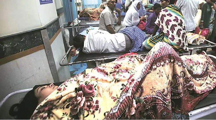 दिल्ली में डेंगू-चिकनगुनिया से अबतक 25 लोगों की मौत Dengue- India TV Hindi