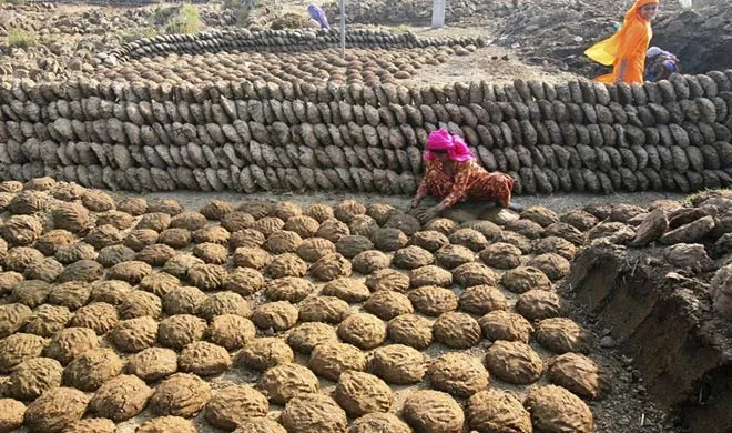 राजस्थान के पशुपालक Amazon पर ऑनलाइन बेच रहे हैं गाय के गोबर के उपले upale- India TV Hindi