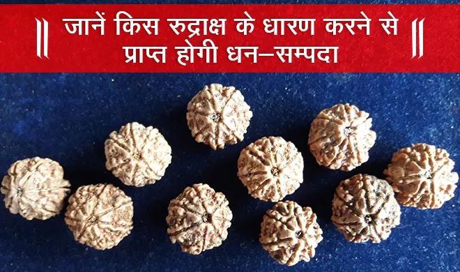 जानिए सातमुखी रुद्राक्ष से क्या होते हैं बड़े फायदे? कैसे करें सही रुद्राक्ष की पहचान और क्या है पहनने का नियम Rudraksh- India TV Hindi
