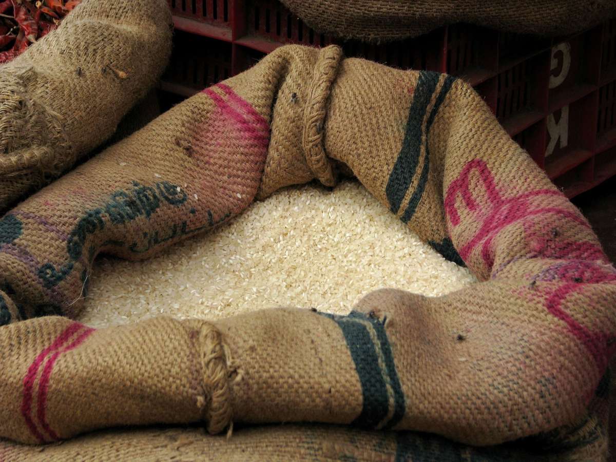 Good News!  Free ration scheme may extend till June 2024, how can you take advantage of it?