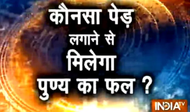 नक्षत्र के अनुसार किस वृक्ष को लगाने से होगी हर इच्छा पूरी punya- India TV Hindi