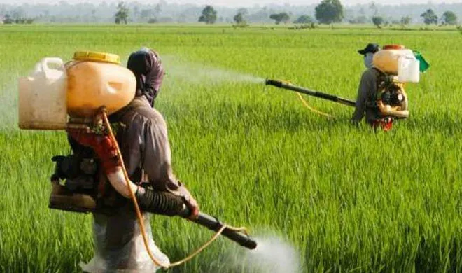 कीटनाशकों के चलते गई 63 किसानों की जान, अब कानून बनाएगी सरकार! Representational Image | PTI Photo- India TV Hindi
