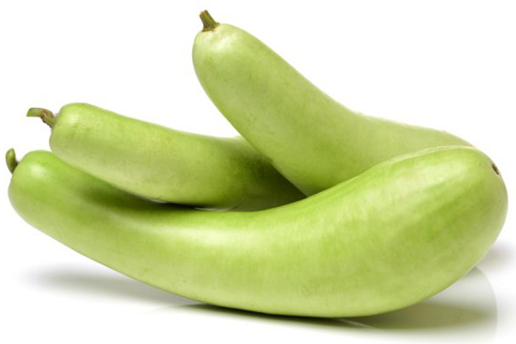 लौकी की सब्जी की रेसिपी इन हिंदी | Bottle Gourd Recipe & Health Benefits in  Hindi - India TV Hindi