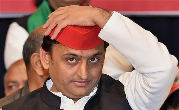 MP विधानसभा चुनाव में सभी सीटों पर चुनाव लड़ेगी समाजवादी पार्टी - Samajwadi Party will contest on all seats in MP assembly elections