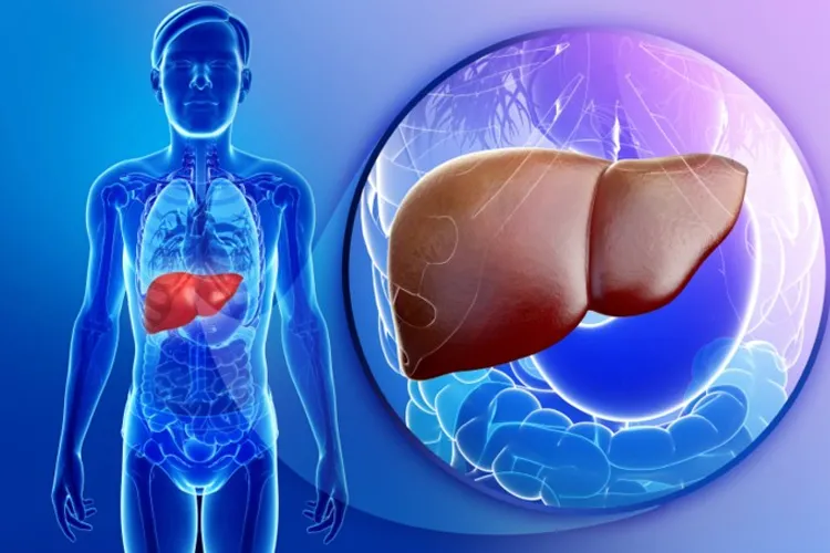 शरीर में दिखें ये लक्षण तो समझ जाइए आपको हो सकती है Liver से जुड़ी ये जानलेवा बीमारी <p>liver problem</p>- India TV Hindi
