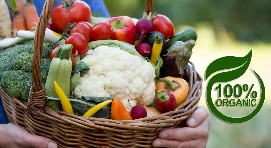 एसोचैम-ईएनवाई रिपोर्ट: ऑर्गेनिक फूड अपनाने के लिए हर महीने करना पड़ेगा 1500 रुपए अतिरिक्त खर्च <p>Organic</p> <p> </p>- India TV Paisa