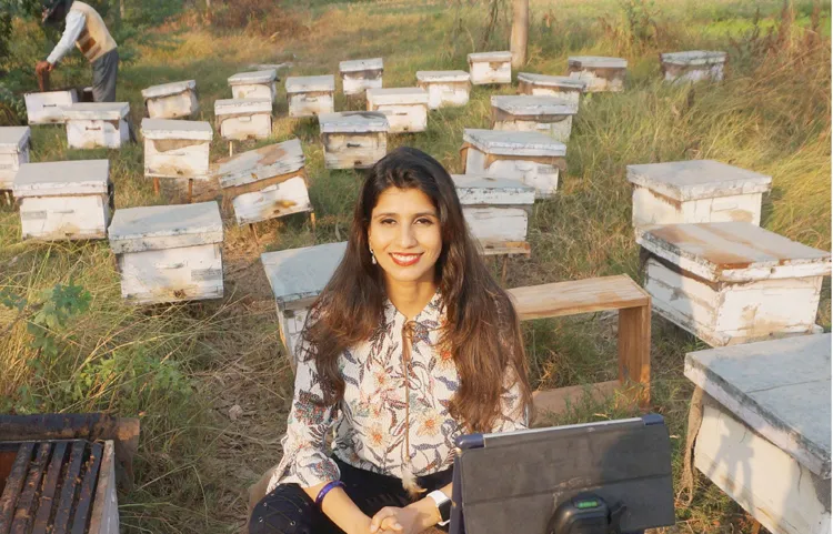 शहद मे मिलावट रोकने के लिए नए मानक हुए अधिसूचित, मधुमक्खी पालक किसानों को होगा फायदा honey- India TV Paisa