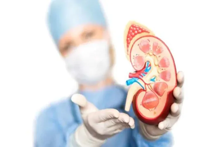 किडनी में है पथरी तो शरीर में दिखेंगे ये बदलाव <p>kidney stone</p>- India TV Hindi