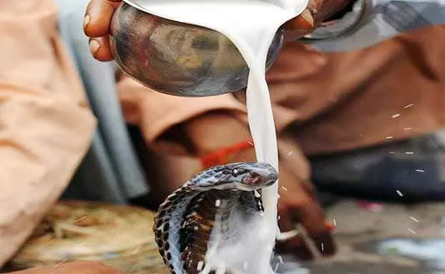 Nag Panchami 2018: 38 साल बाद नाग पंचमी में दुर्लभ संयोग, जानें शुभ मुहूर्त और पूजा विधि Nag Panchmi 2018- India TV Hindi