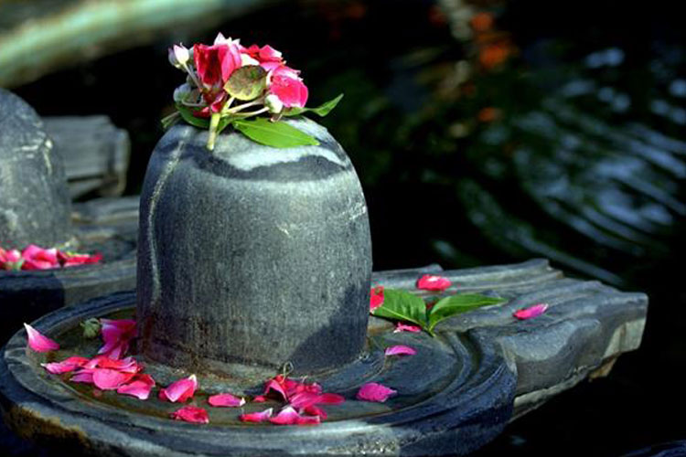 Sawan 2018 shivratri 2018 know what methed to plugin and how to offer bel patra on shivling: Sawan Month 2018: जानिए बेलपत्र तोड़ने और शिवलिंग में चढ़ाने का सही तरीका - India TV Hindi