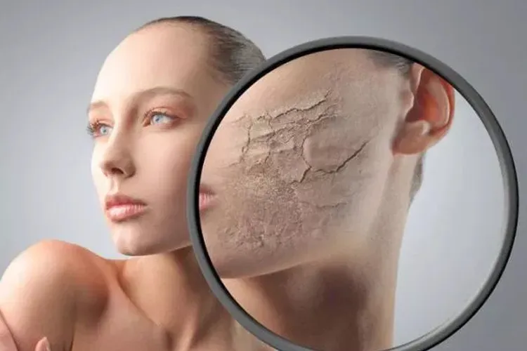 ड्राई स्किन से 2 मिनट में दिलाएगा राहत, इस तरह घर में करें मसाज <p>skin care tips</p>- India TV Hindi