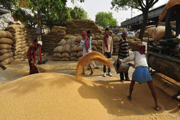 foodgrain production- India TV Paisa
