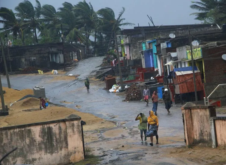 Cyclone Titli Updates: चक्रवाती तूफान तितली ने बरपाया कहर, आंध्र प्रदेश में 8 की मौत, फसलों को भी नुकसान Cyclone Titli Live Updates- India TV Hindi