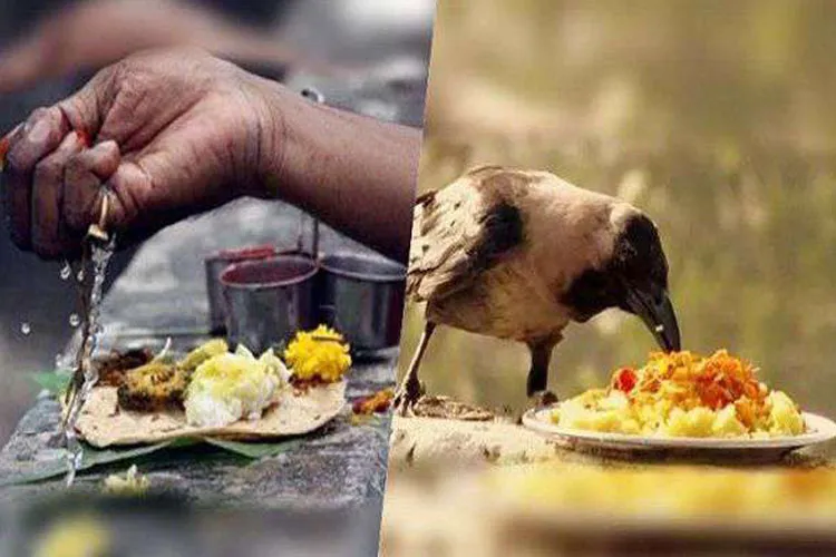 भूलकर भी श्राद्ध के आखिरी 2 दिन न करें ये काम, आपको पितृगण हो जाएंगे नाराज Pitru Paksha- India TV Hindi