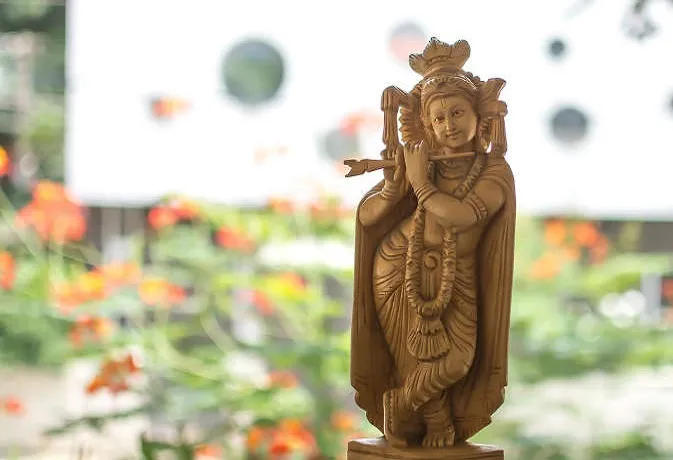 16 नवंबर को बन रहा है विशेष संयोग, धनवान होने के लिए राशिनुसार करें ये उपाय gopashtami- India TV Hindi